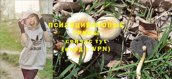 винт Алексин